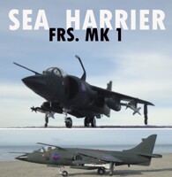 Finally Sea Harrier under the sun