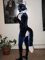 Blue Velour Fox