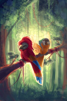 Rainforest Buddies