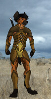 Busara 