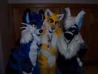 Everyone loves a grump