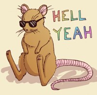 Rad Rat