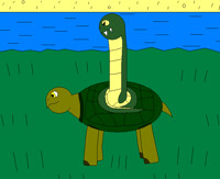 Sas on a turtle