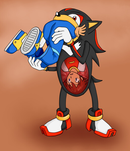 piece I have as a fav featuring sonic the hedgehog vore where shadow captur...