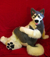 malamute plush