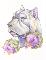 Neapolitan Mastiff