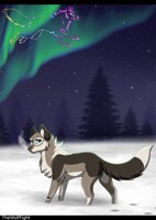 100 Theme: 27- Afterlife