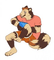 Commission - Foolish-ferret