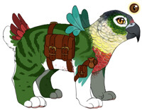 || Green-Cheeked Conure Cat ||T||