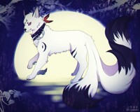 Dancing in the moonlight