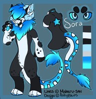 Sora Ref