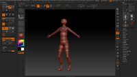 wip 3d anthro