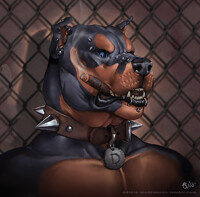 :Bust CO: explicital