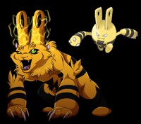 Shocker Imps- Elekid