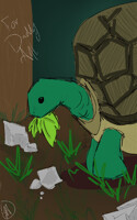 A turtle for dad 