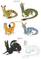 Fadeer Color Variations