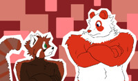 Two Red Pandas