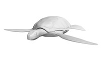 Sea Turtle Model 2