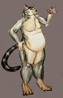 Teekee as an Anthro