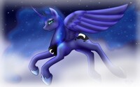 .:Princess of the Night:. 