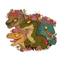 Raptor Babes