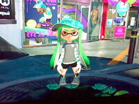enigma is squid