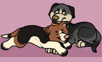 Love Pups