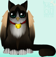 Meowl
