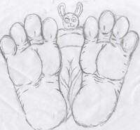 art trade with mesuta