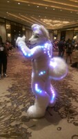 mBlade Lights Up The Zoo