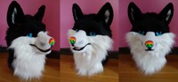 Black Fox head