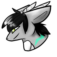 Drakas Headshot