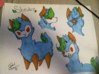 Shrubz