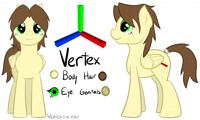 Vertex Reference (SFW)