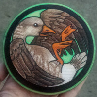 Greylag Goose