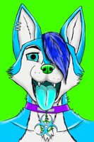 Bluefluffy Fusky portrait