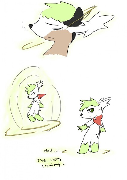 Shaymin Sky Frome by Sioteru -- Fur Affinity [dot] net