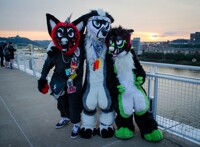 Anthrocon 2015 : Buddies
