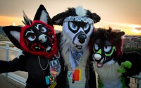 Anthrocon 2015 : Bros