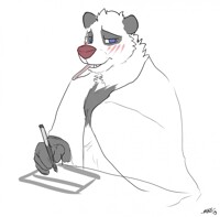 Sick Panda D: