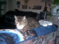 --Cleo--