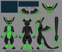 Terra the duchess angel Dragon!