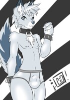 Underwoof Brand Briefs