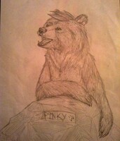 Pinky the bear