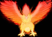 Phoenix