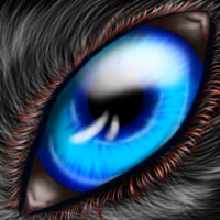 Cody Silverpaw's Eye-con (68)