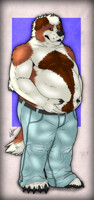 Meet John, The saint bernard! 