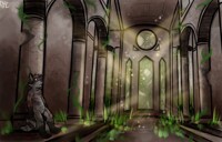 [c] signs