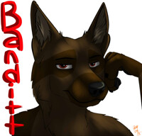 Banditt is Not Amused