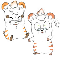 hamsona